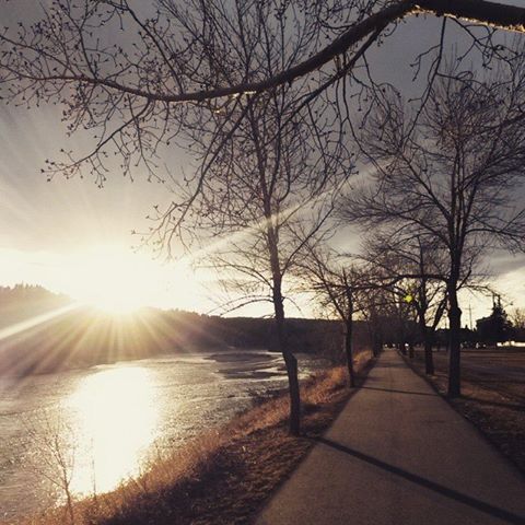 "Thankful for Spring's fleeting Equinox. Form grows steadily under patient wheels. The miles of night grow longer too as we ride toward Summer's bright Solstice.

#HotSauceCycling × #bikepractice #cycling #cyclocross #RoadisComing #YYC #ShareCalgary #Alberta #Canada"